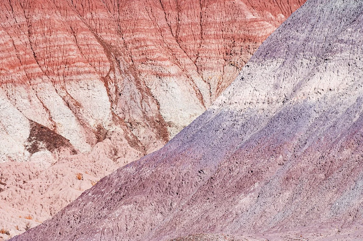 November: Petrified Forest National Park — Deirdre Denali Photography
